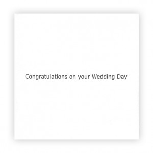 Just Married Bicycle Greeting Card