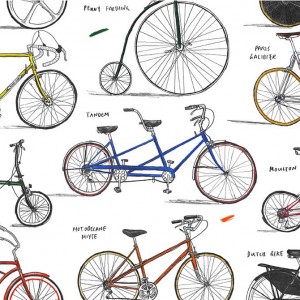 Bicycles Print by David Sparshott