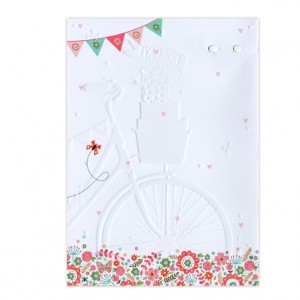 Eight Girls Bicycle Birthday Card