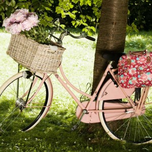 Basil Bloom Carry All Bicycle Pannier Bag