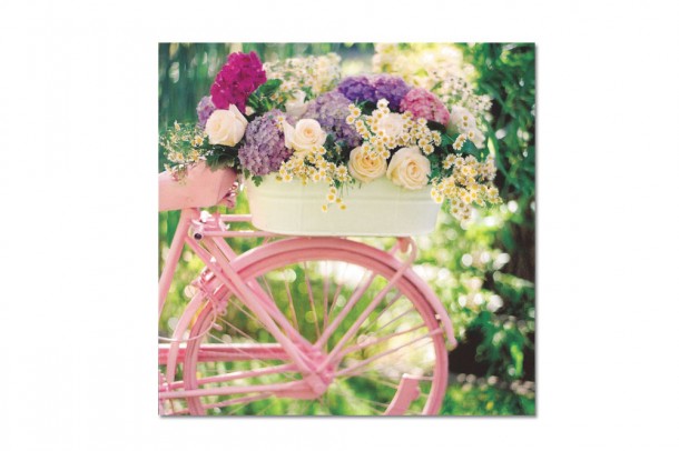 Happy Birthday Bicycle Greeting Card CycleMiles